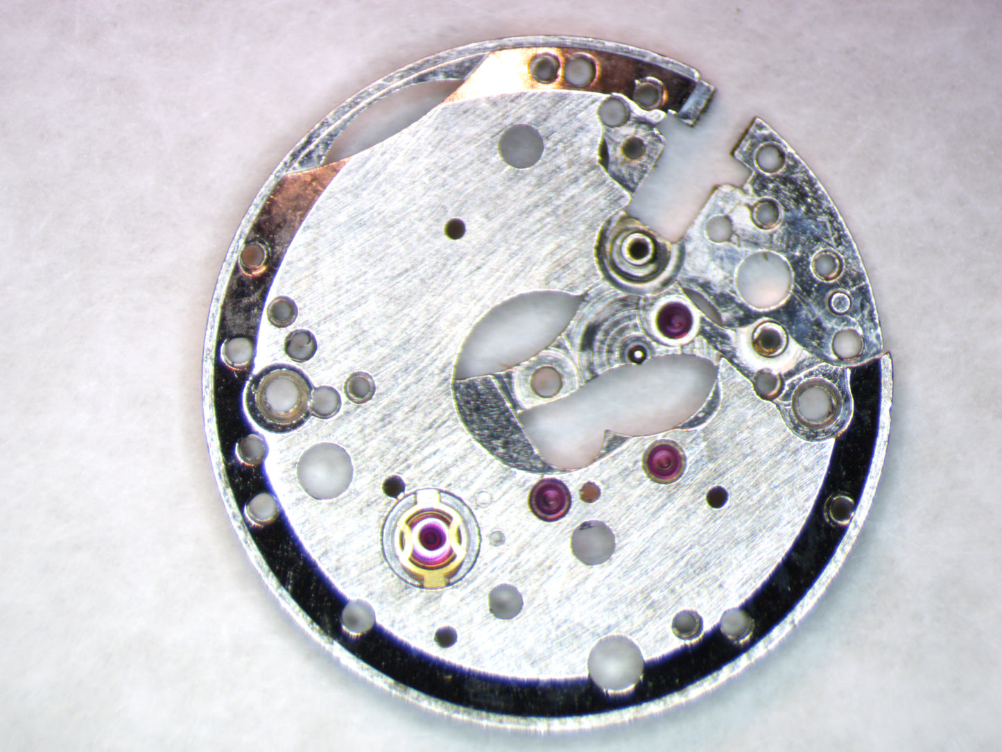 Wittnauer 7SDA1 0100 Main Plate