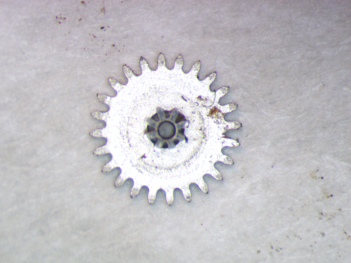 Longines Cal. 5602 0260 Minute wheel