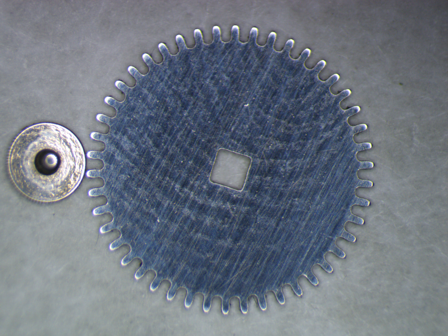 Wittnauer 3W2 0415 Ratchet wheel w/screw