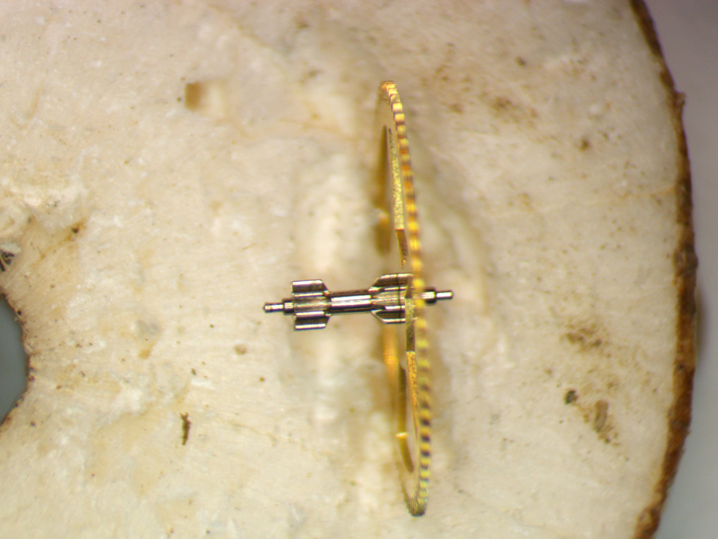 Seiko 6118A 231610 Third Wheel