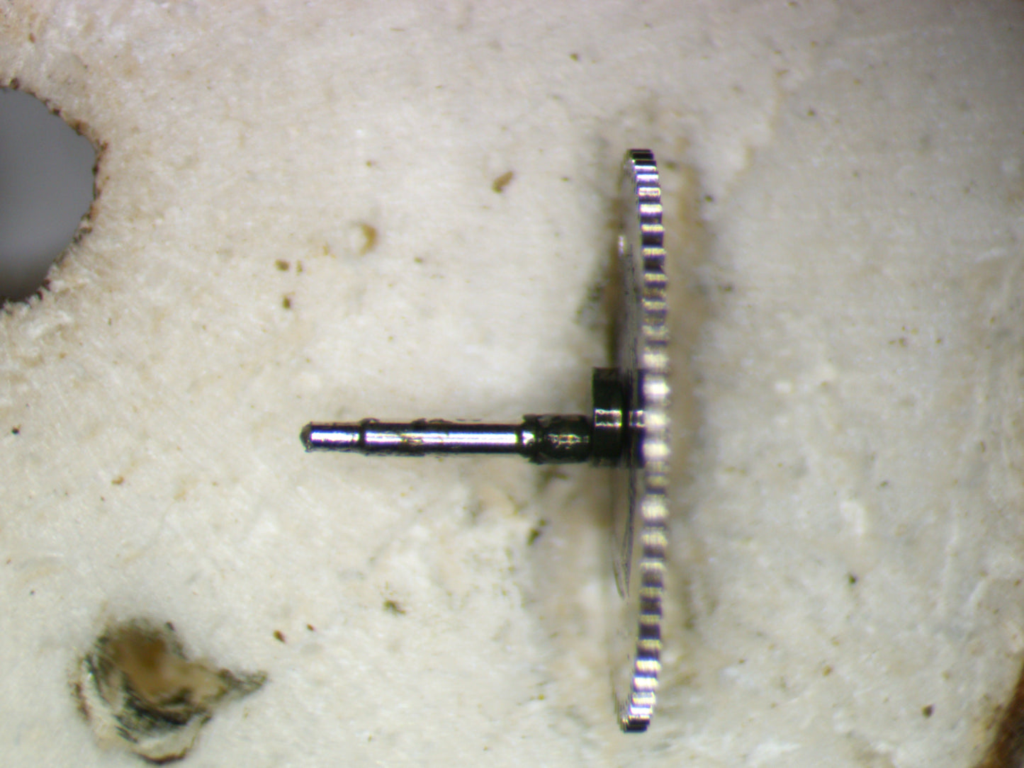 Seiko 7S36C 0511010 First Reduction wheel