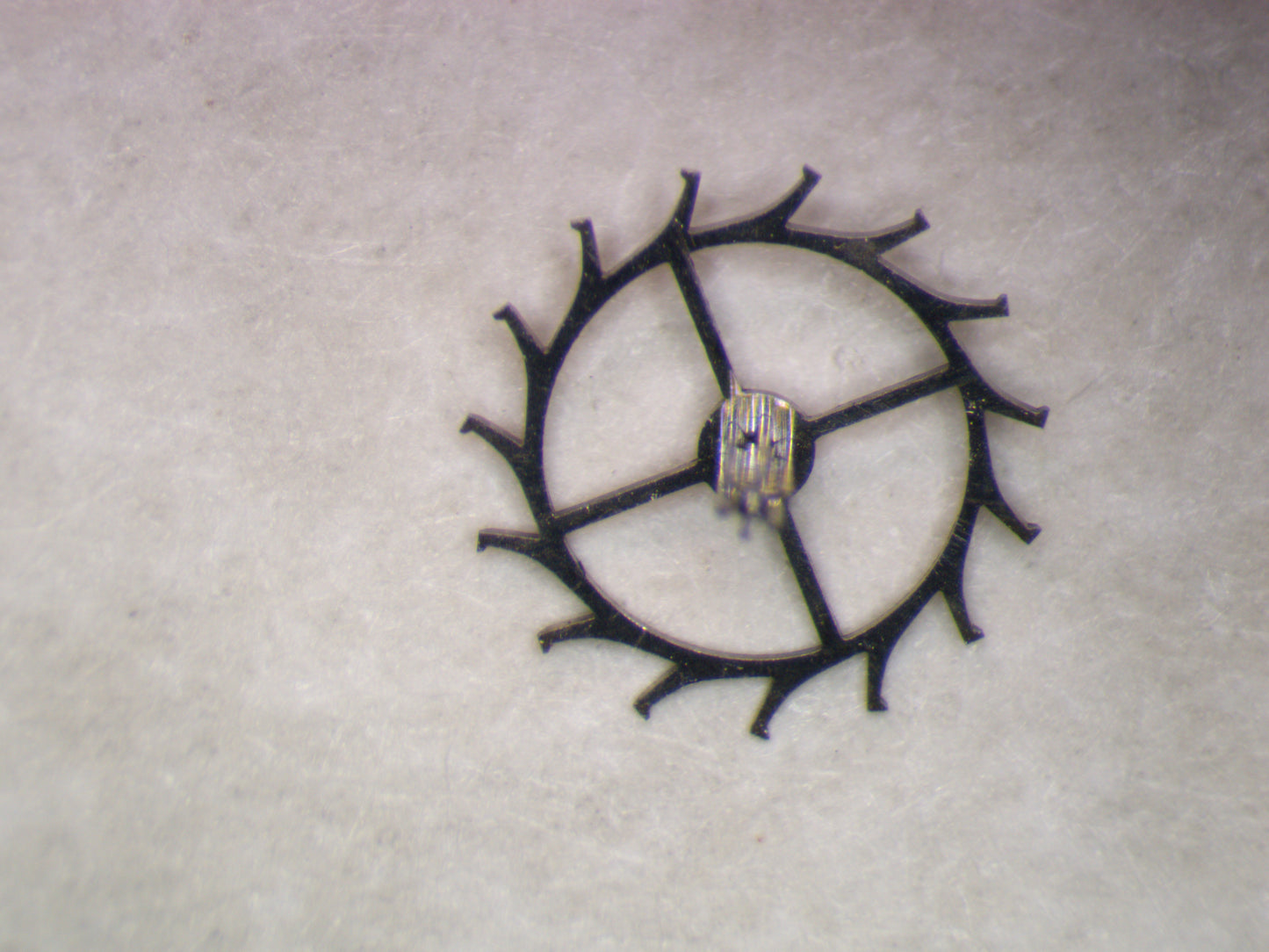 Wittnauer 73 1305 Escape wheel