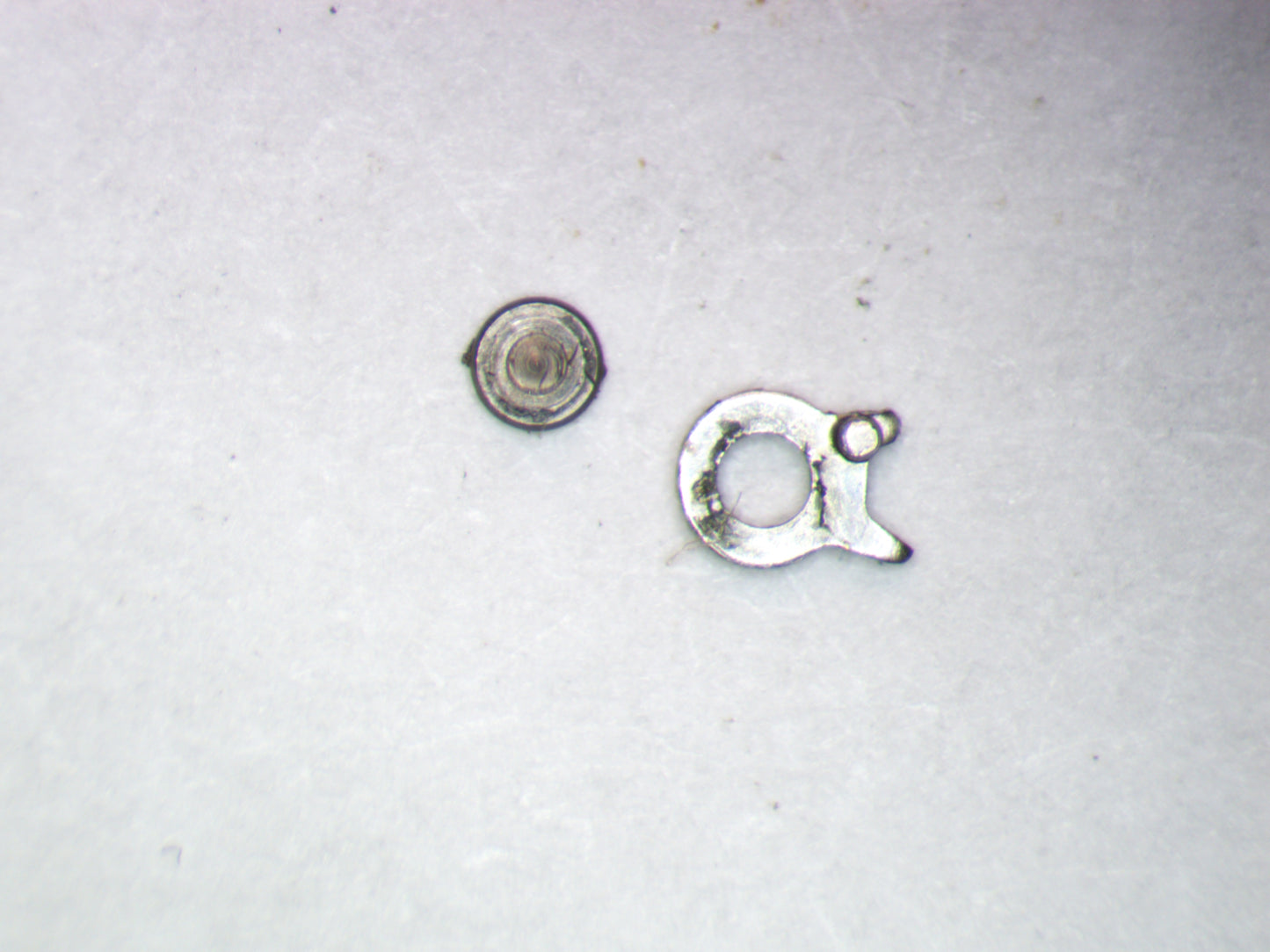 Venus 188 0425 Click w/screw