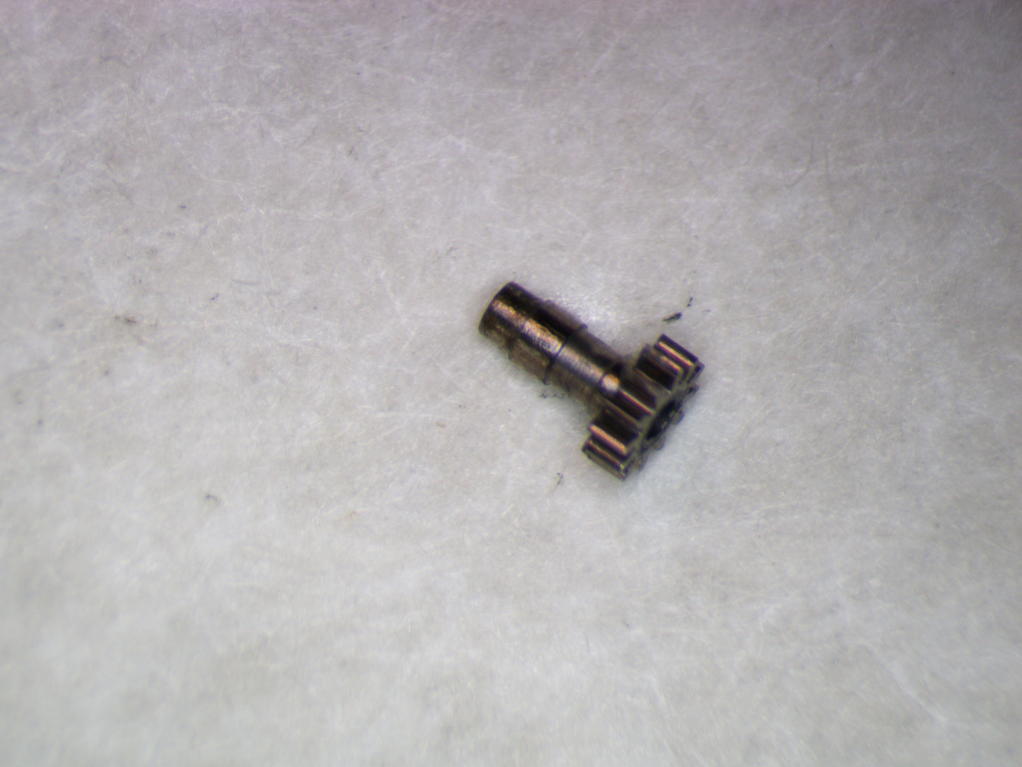 Longines 22L 0245 Cannon pinion