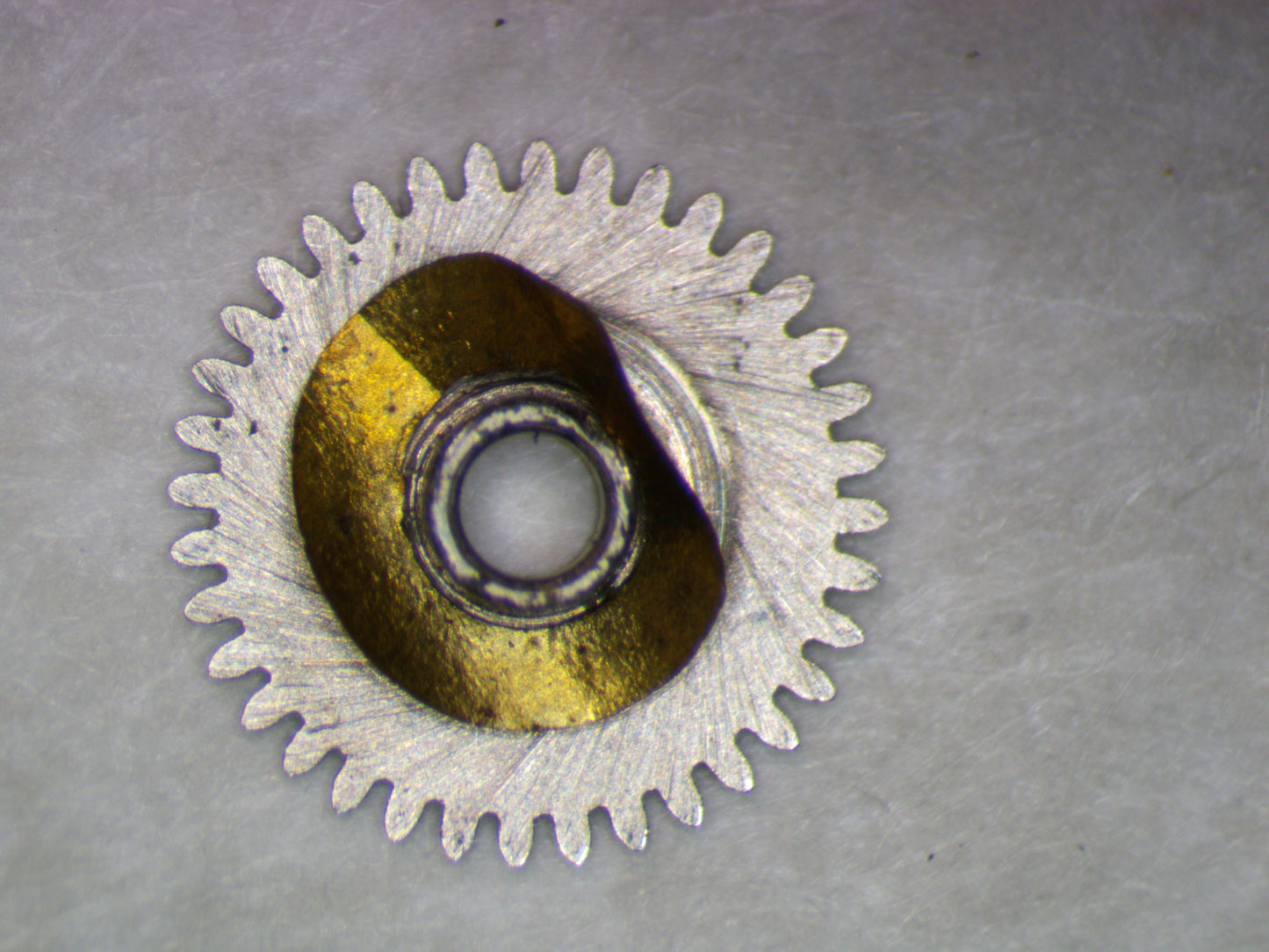 Longines 8NS 0255 Hour wheel