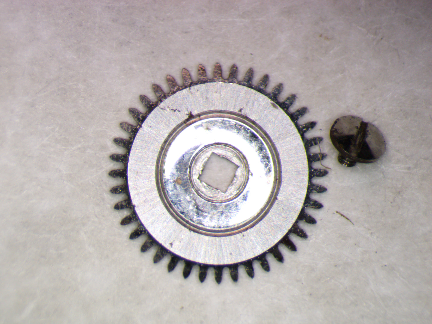 Longines 8LN 0415 Ratchet wheel w/screw