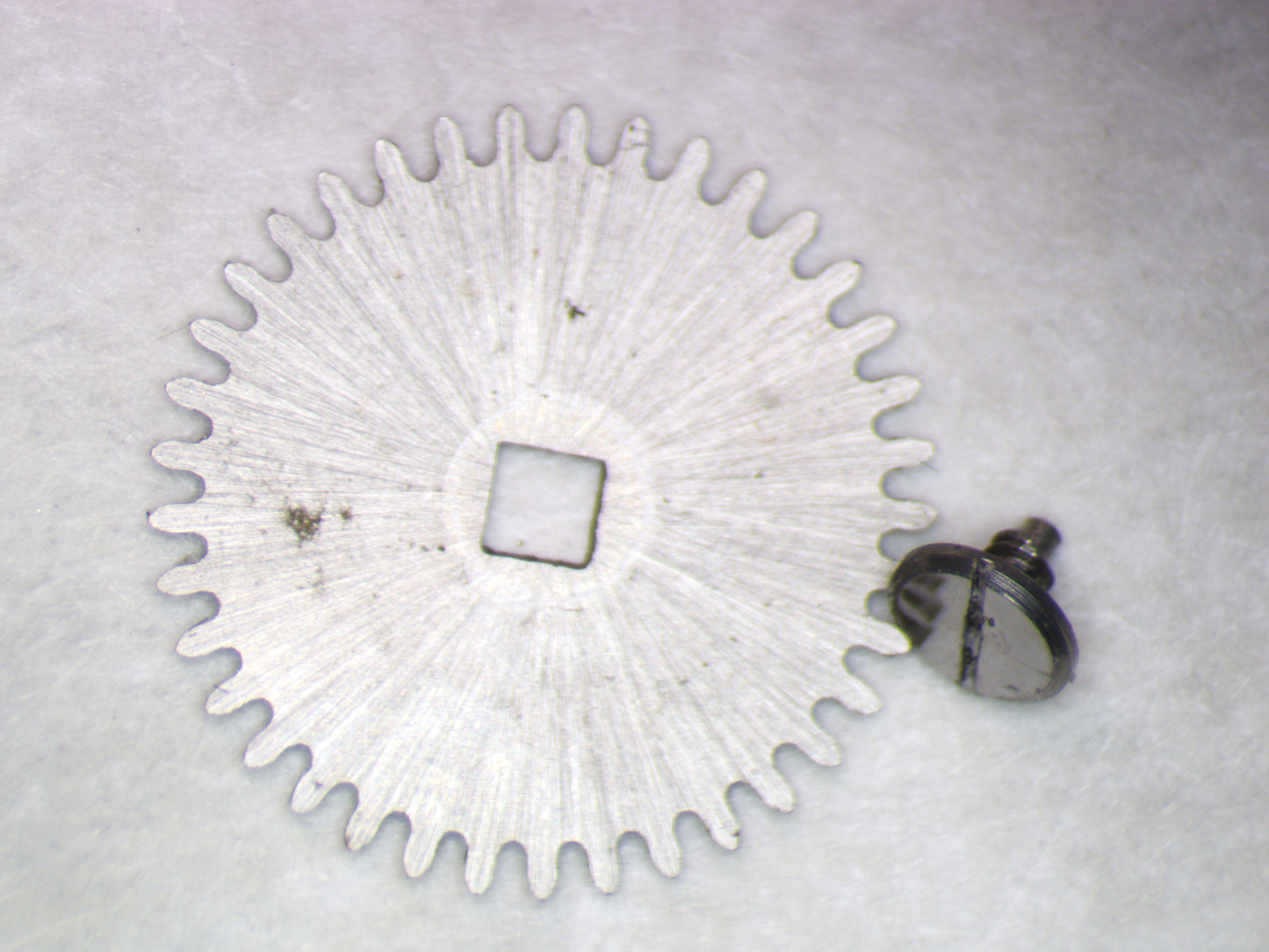 Hamilton 770 0415 Ratchet wheel w/screw