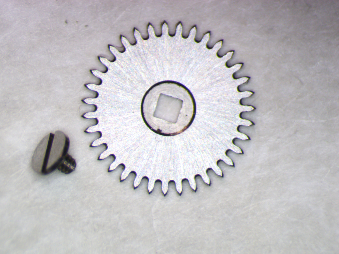 Omega 484 1100 Ratchet wheel w/screw