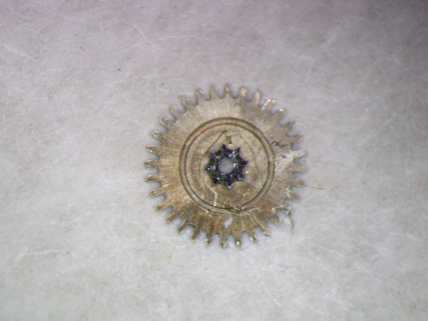 Longines 19A 0260 Minute wheel