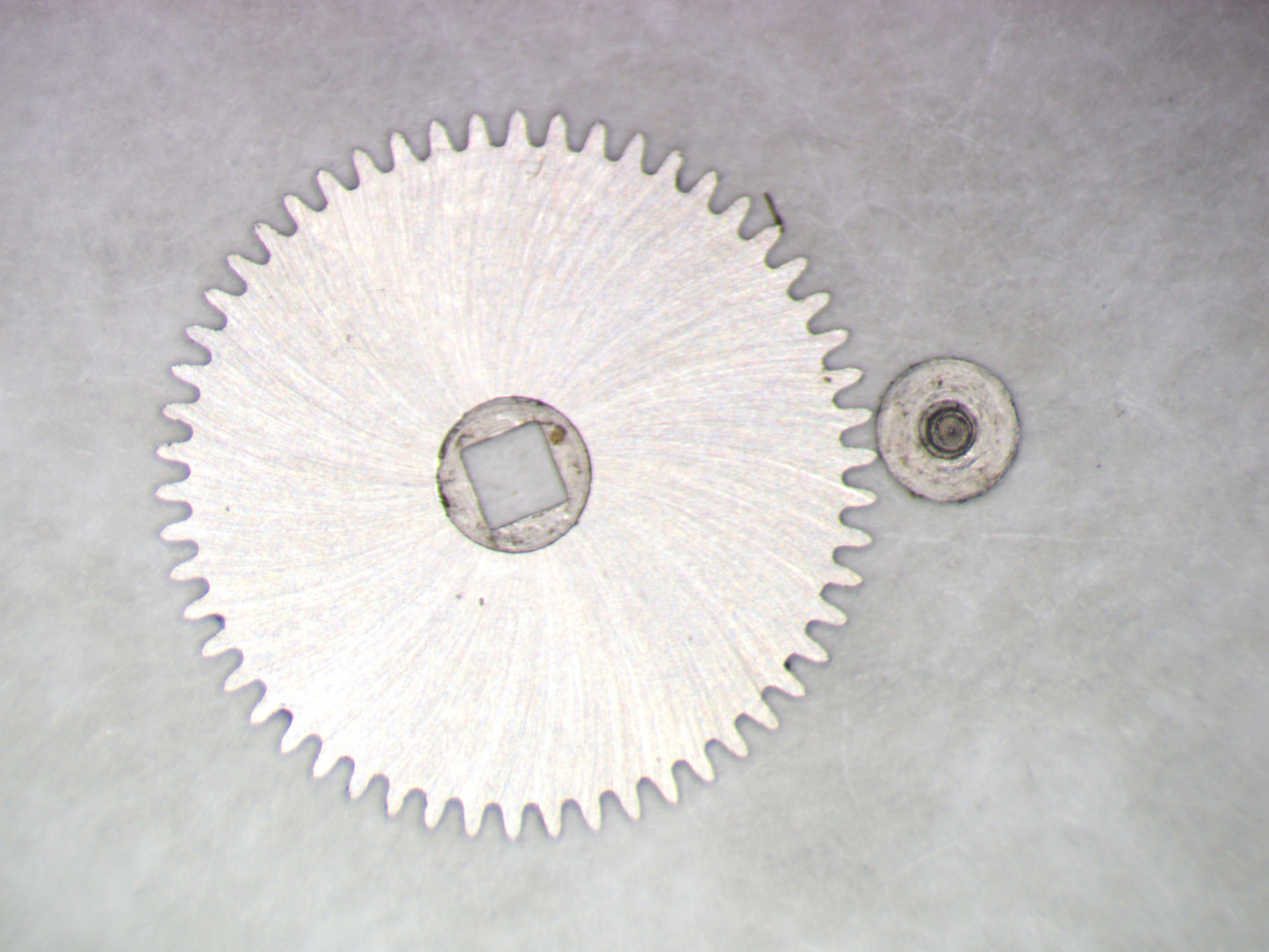 Venus 188 0415 Ratchet wheel w/screw