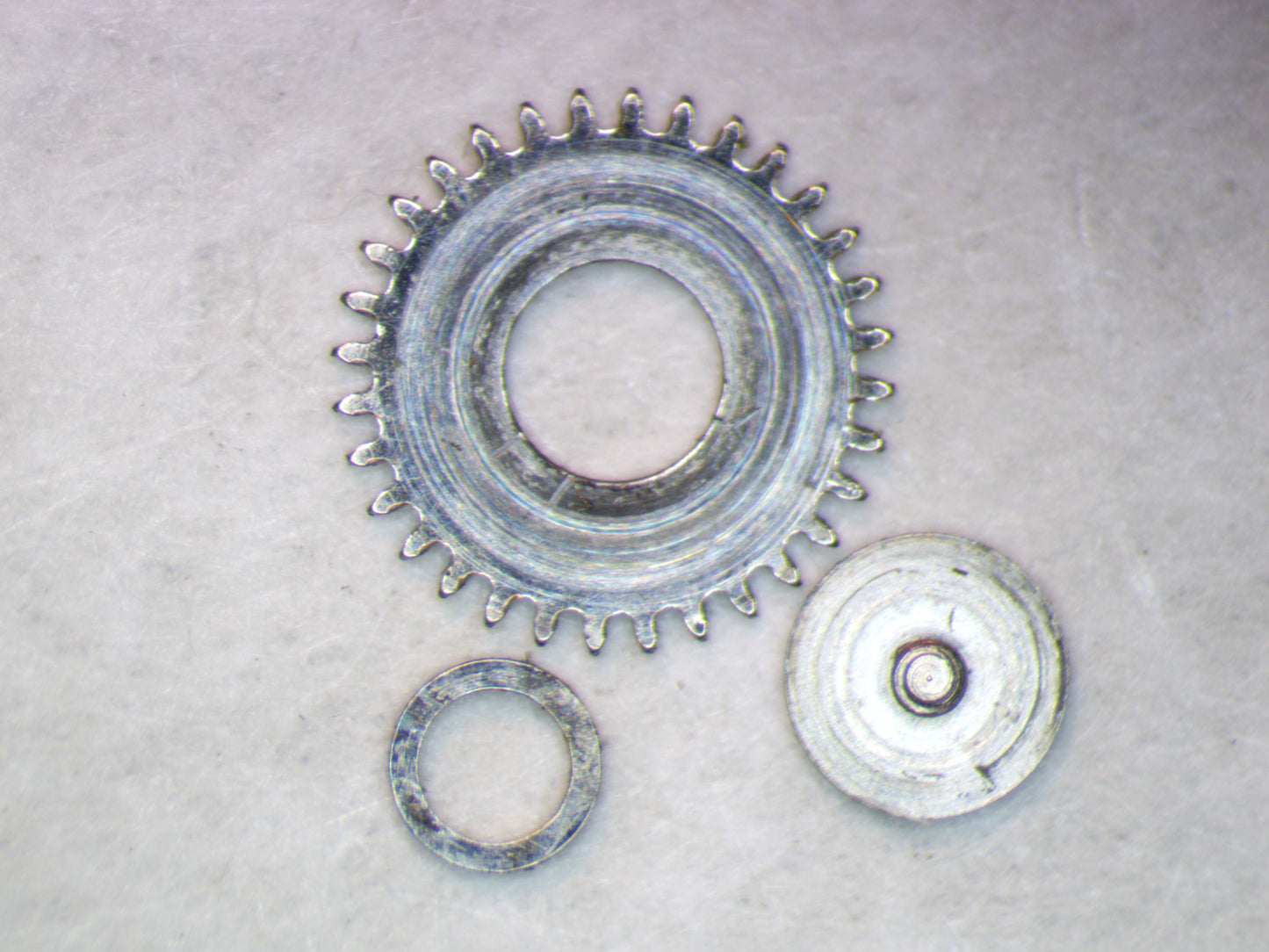 Wittnauer 7SDA1 0420 Crown wheel w/insert, screw