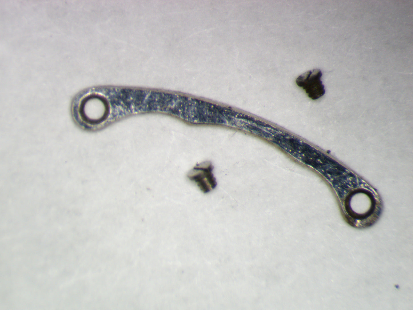 Longines 5LN 0118 Balance Guard w/screws