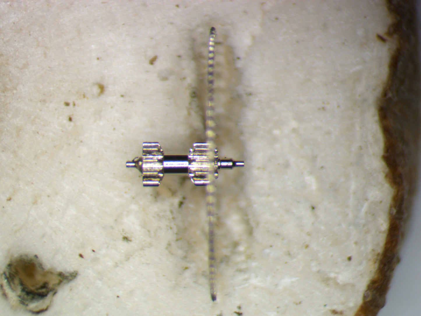 Seiko 7S36C 0231007 Third Wheel