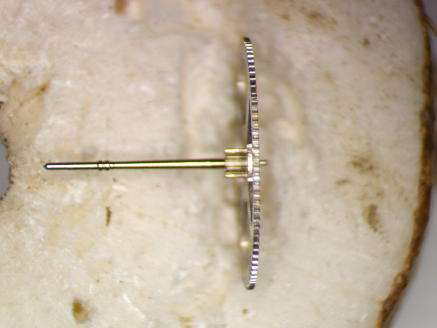 Seiko 4R36 0241010 Fourth wheel