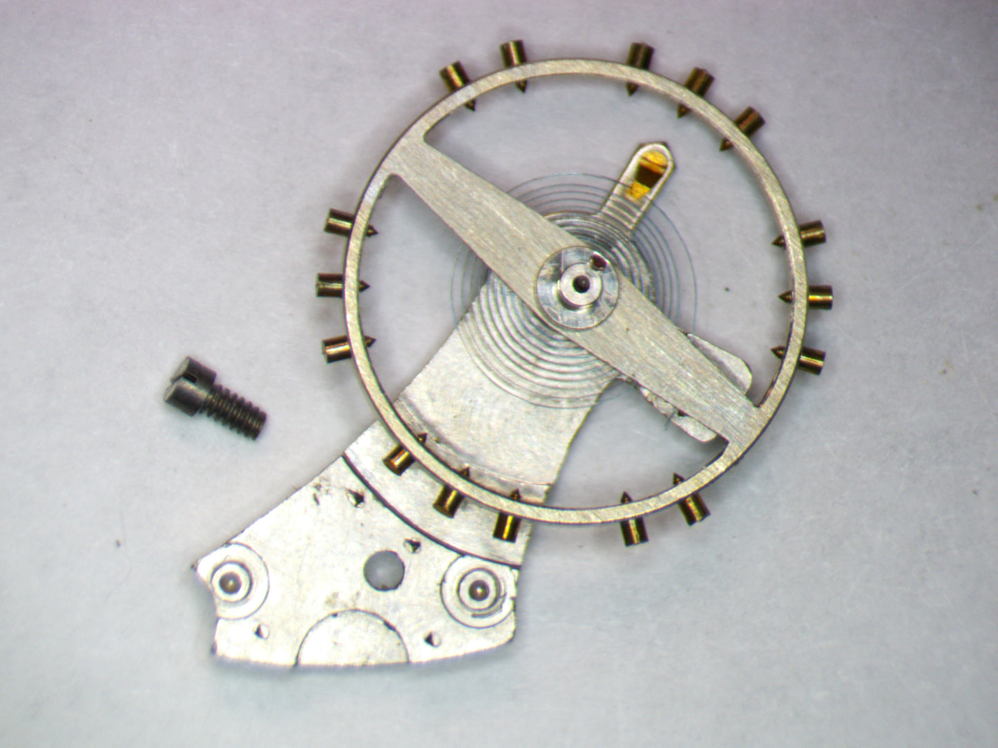 Venus 188 0721 Balance Complete w/screw