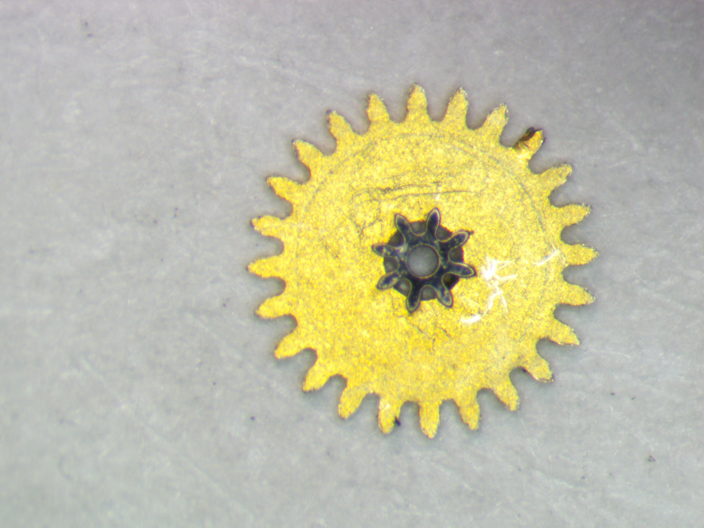 LeCoultre 845 0260 Minute wheel