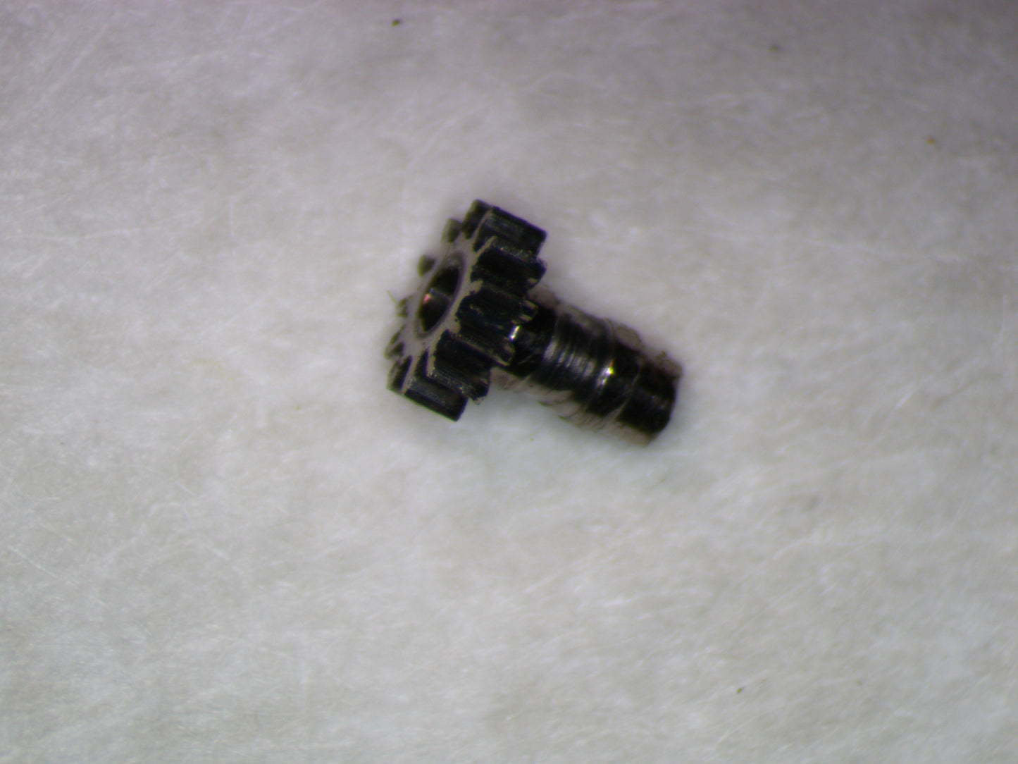 Longines 8NS 0245 Cannon pinion