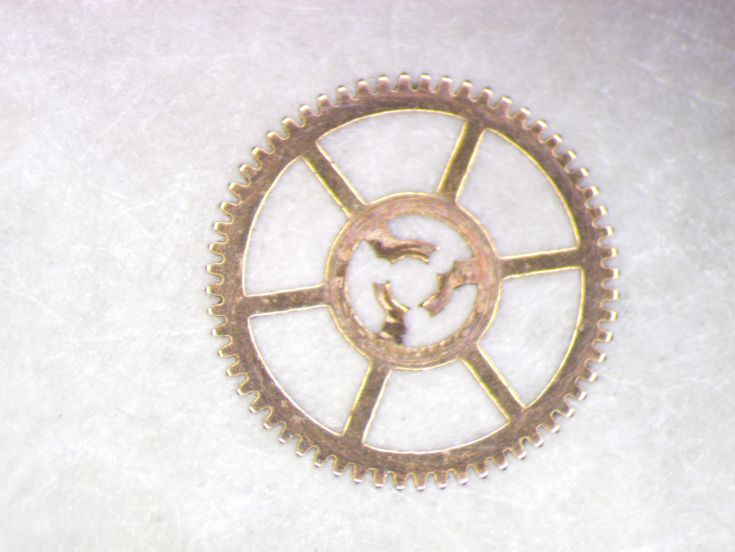 Hamilton 680 0242 Cannon Pinion Drive Wheel