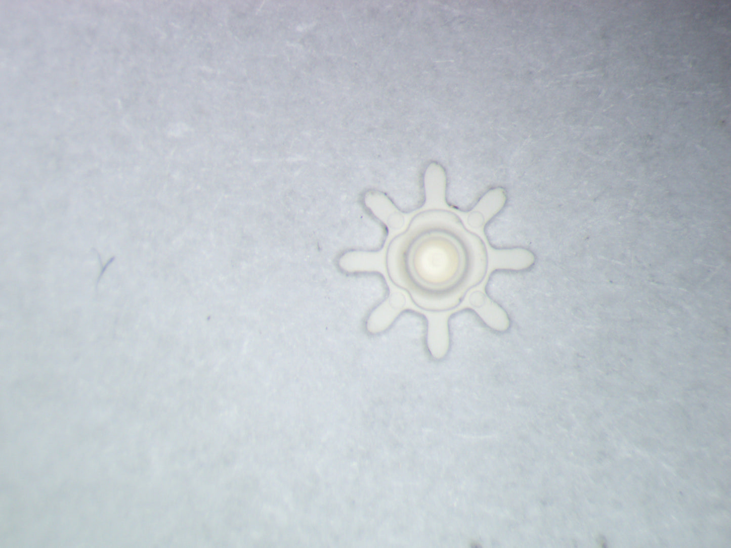 Seiko 7S36C 0737183 Day-Date Corrector Wheel