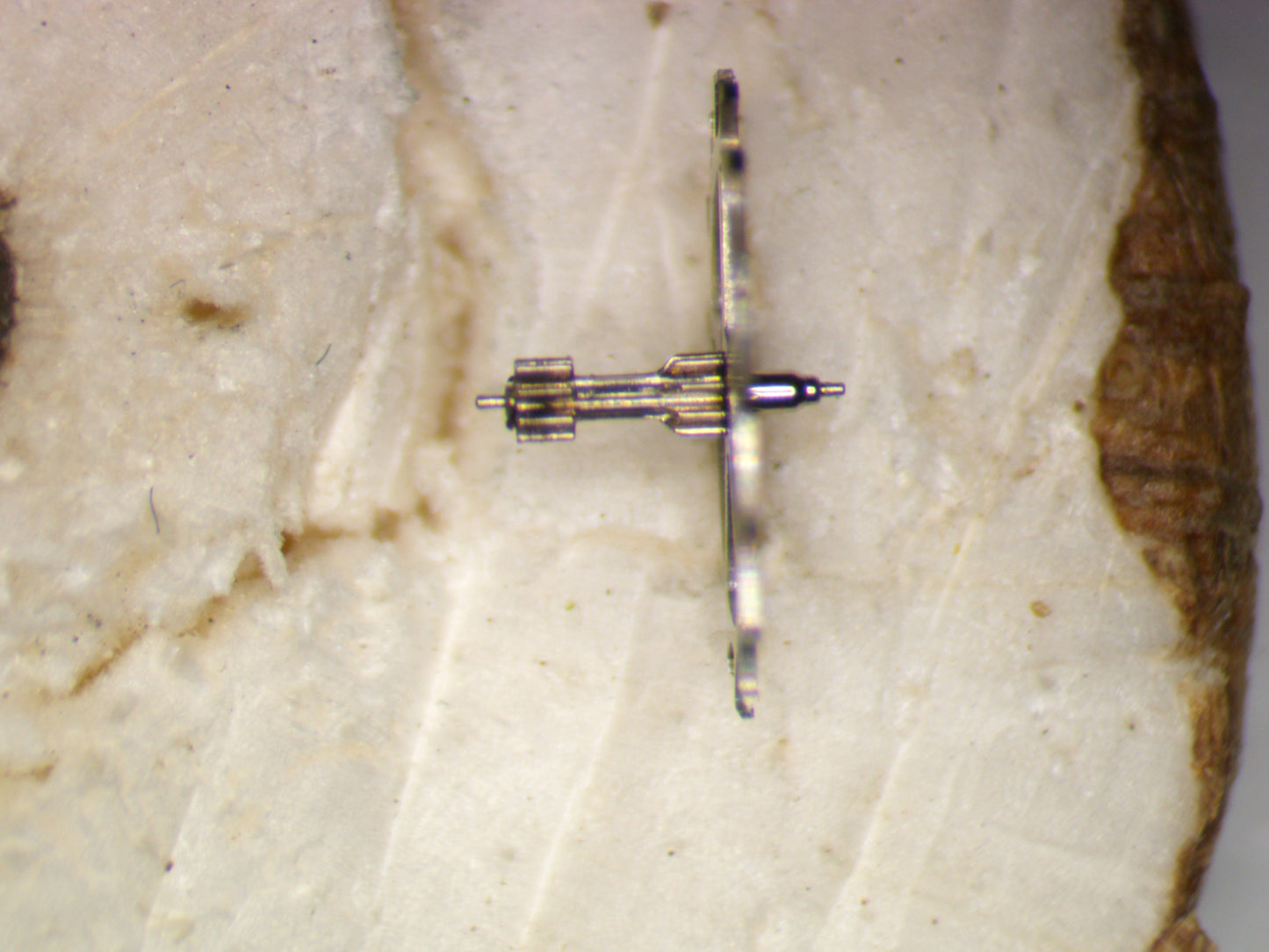 Seiko 6139A 21j 251619 Escape wheel