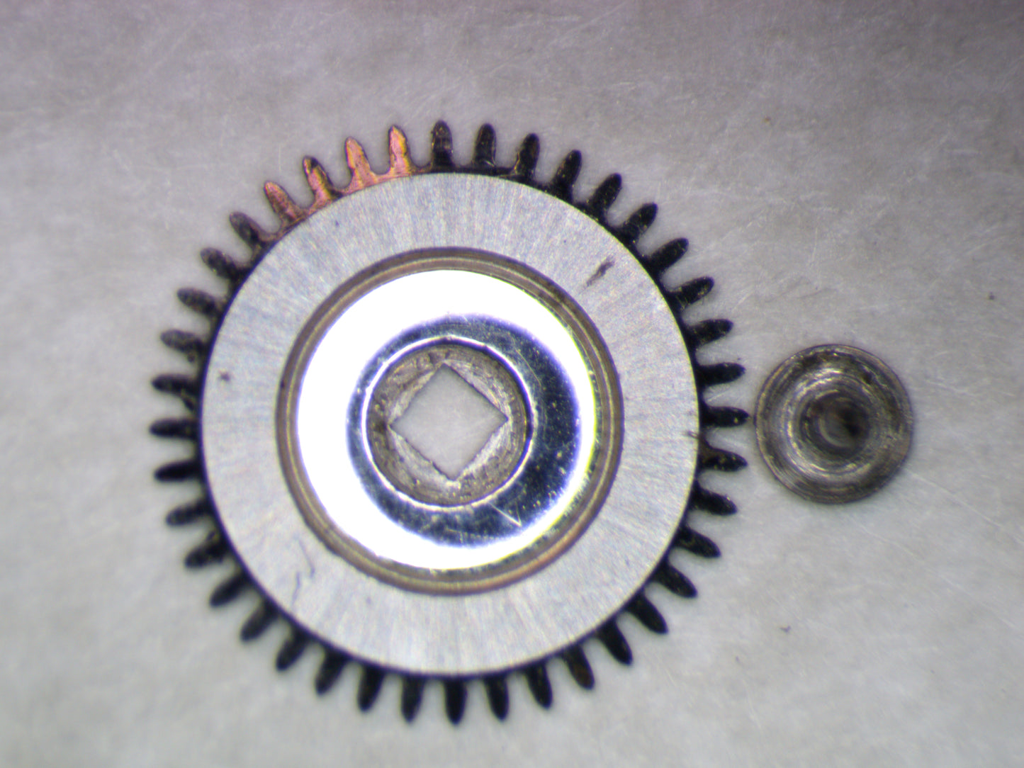 Longines 8NS 0415 Ratchet wheel w/screw