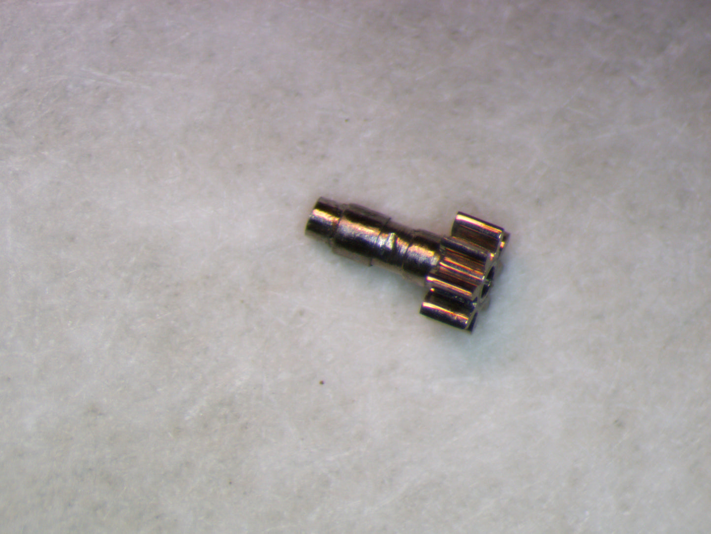 Longines 4LL 0245 Cannon pinion