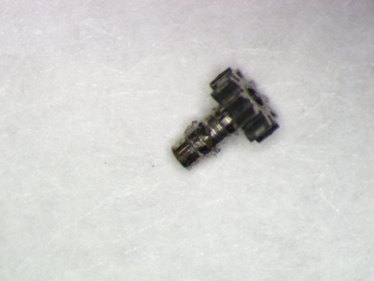 Longines 5LN 0245 Cannon pinion