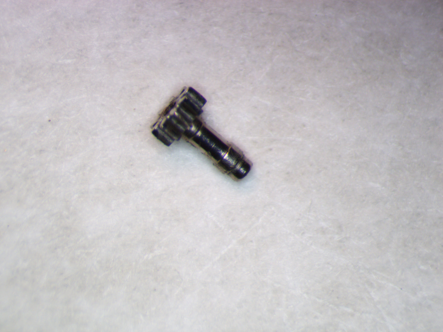 AS 1977-2 0245 Cannon pinion