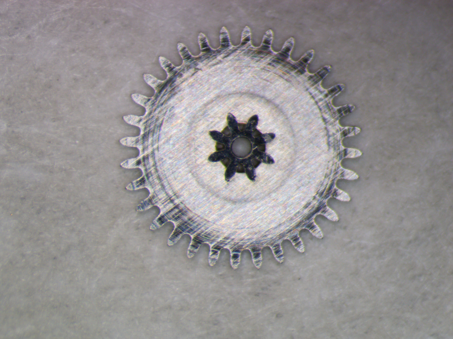 Longines 19.4 0260 Minute wheel