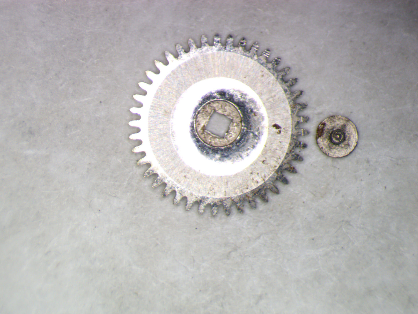 Longines 14.16S 0415 Ratchet wheel w/screw