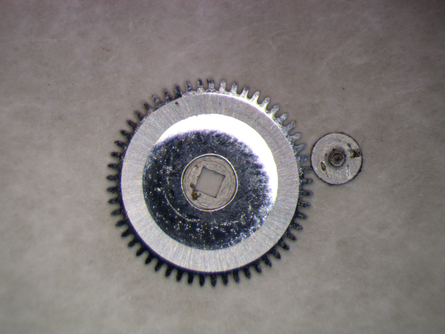 Wittnauer 73 0415 Ratchet wheel w/screw