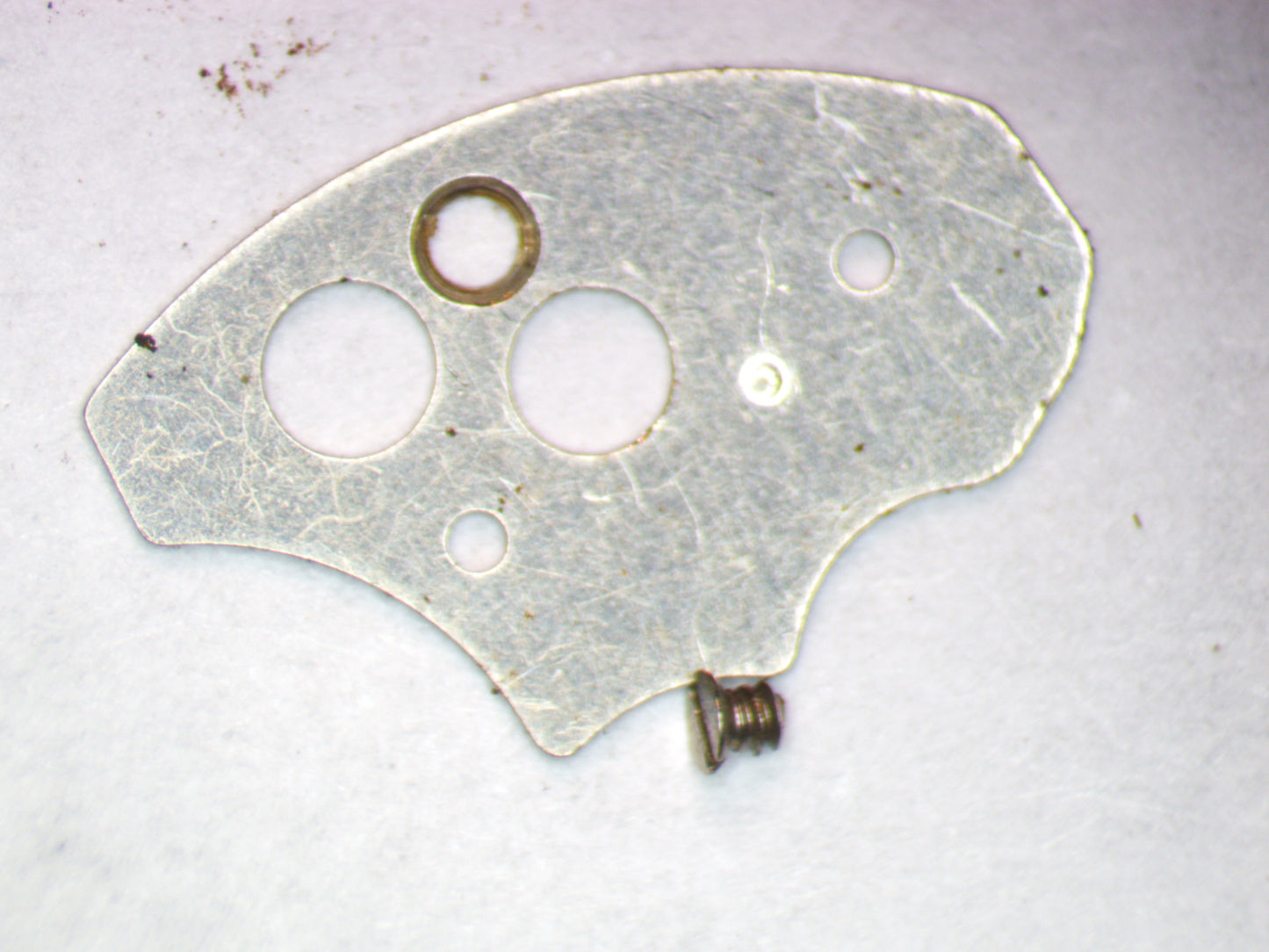 Seiko 6309A 808601 Date Dial Guard w/screw