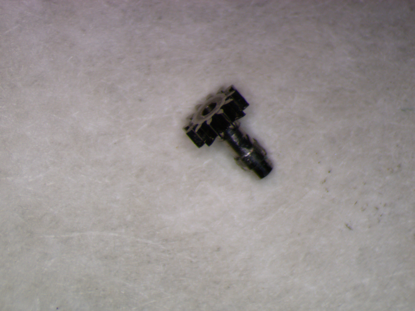 Longines 19.4 0245 Cannon pinion