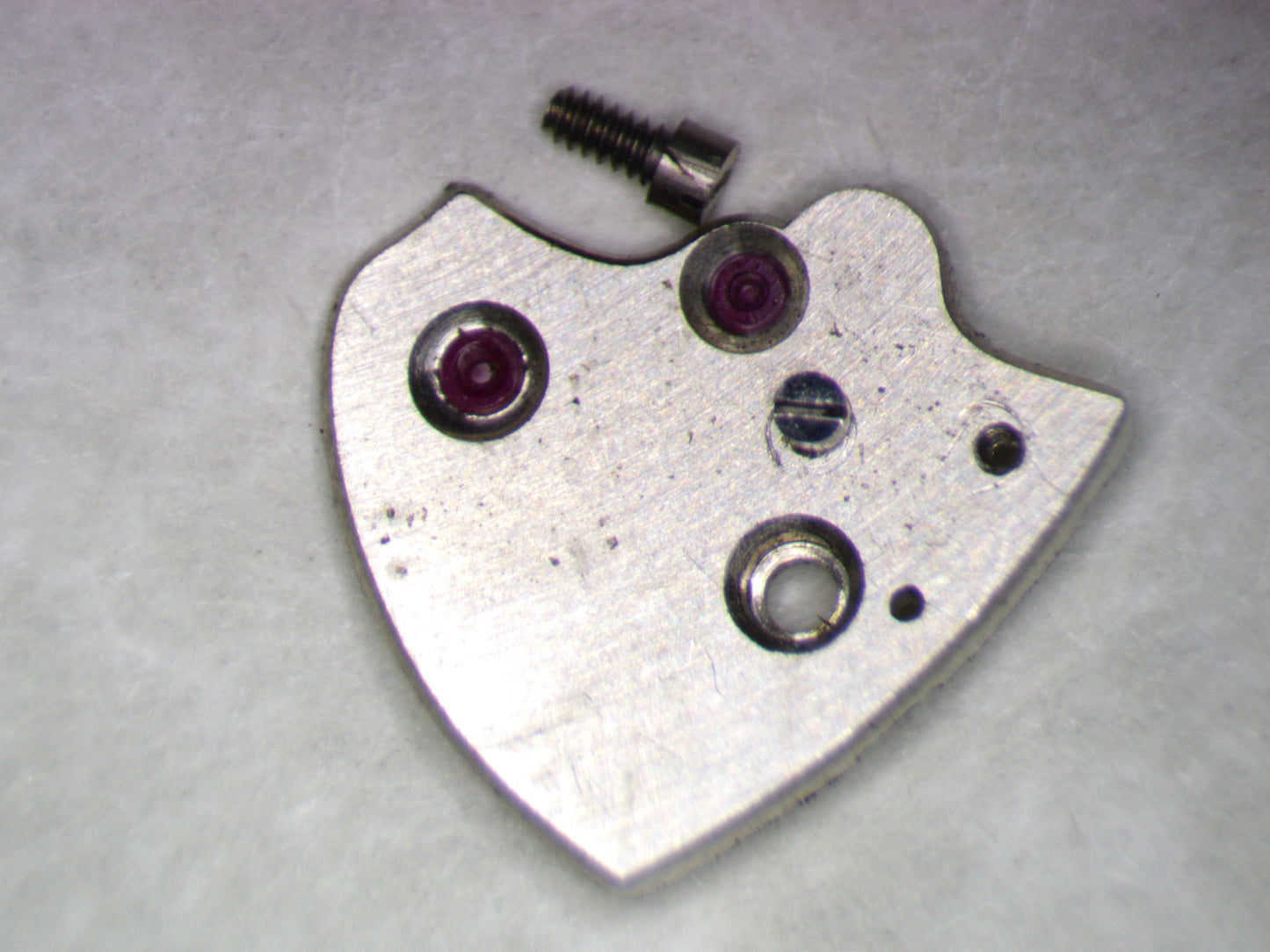 Venus 188 0118 Balance Guard w/screw