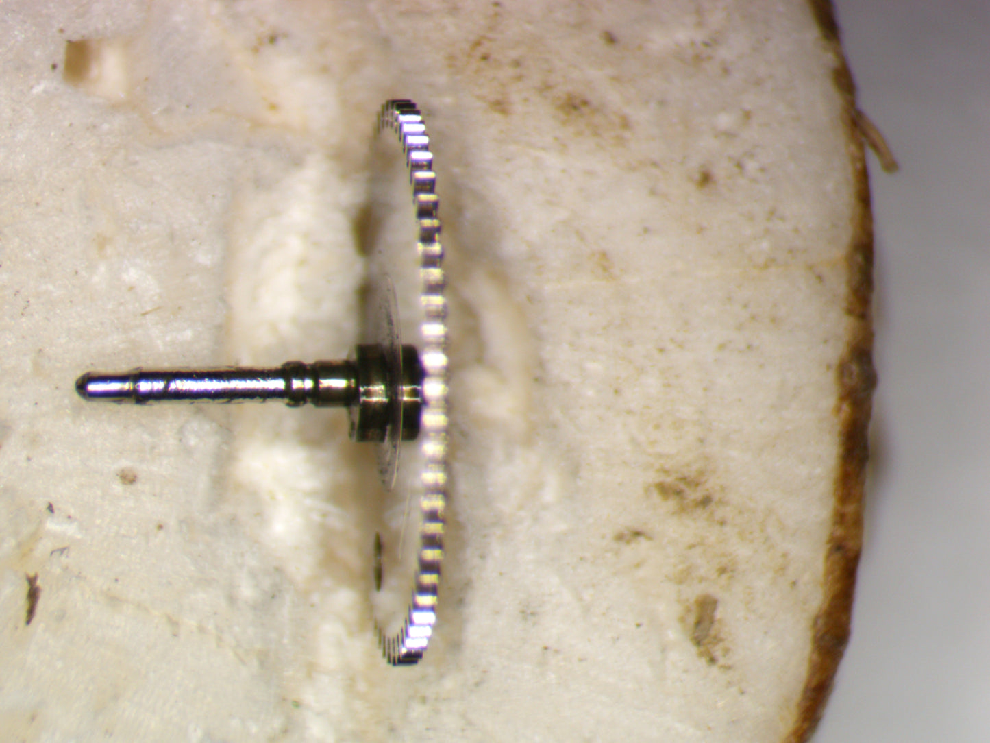 Seiko 4R36 0511010 First Reduction wheel