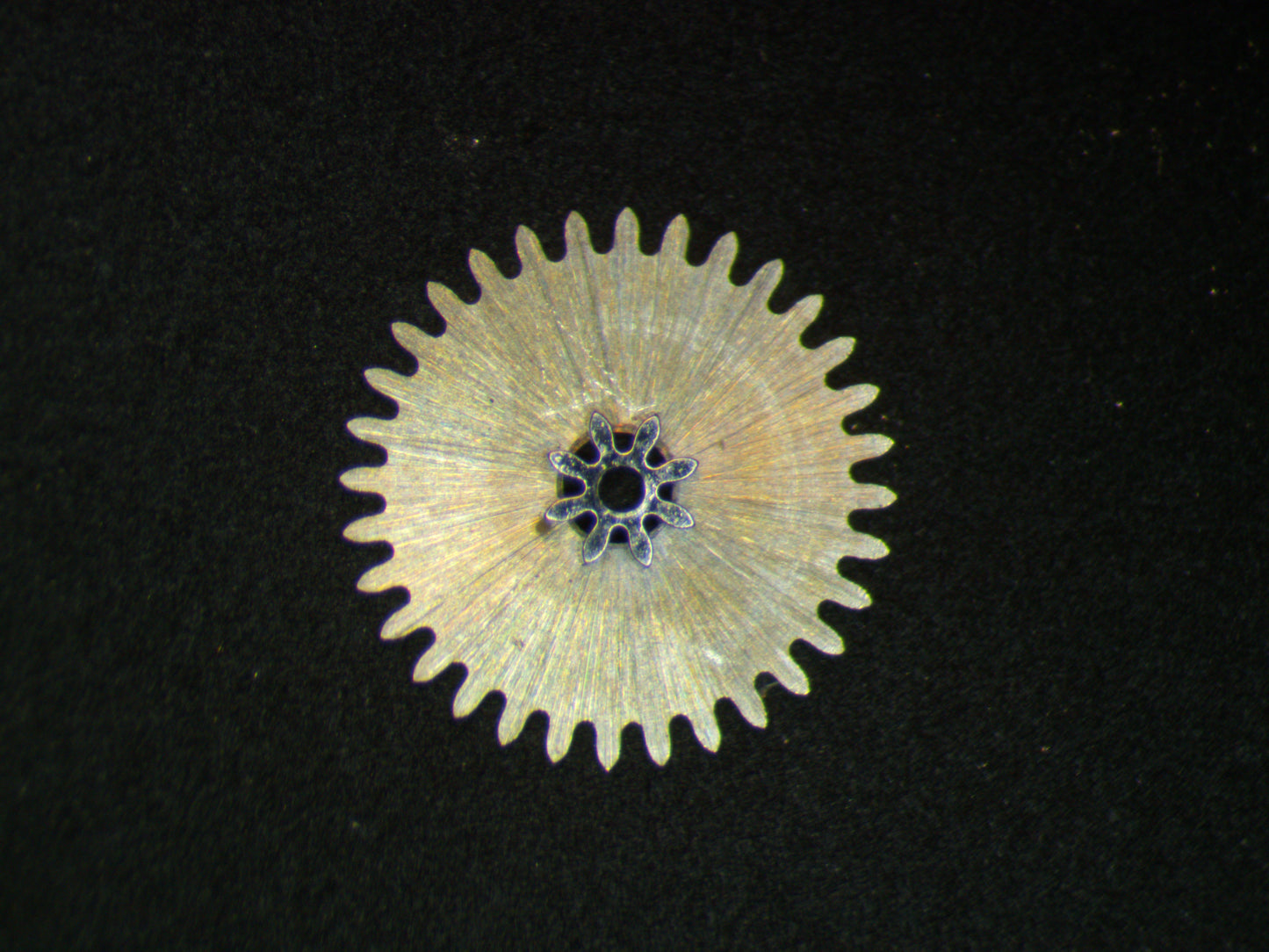 Longines 520 0260 Minute wheel