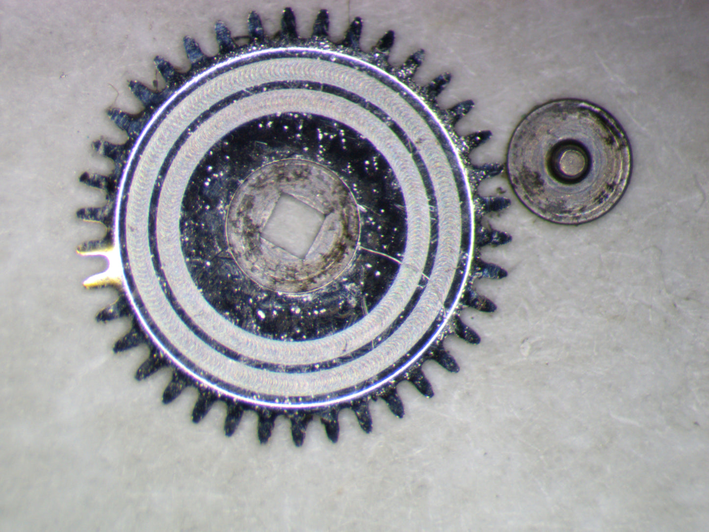 Hamilton 911 0415 Ratchet wheel w/screw