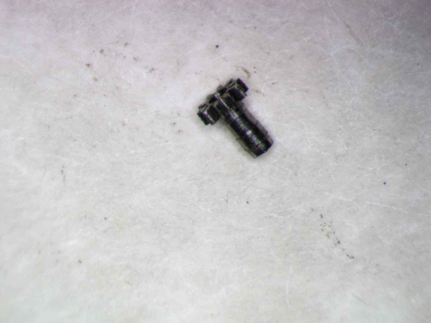 Venus 188 0245 Cannon pinion