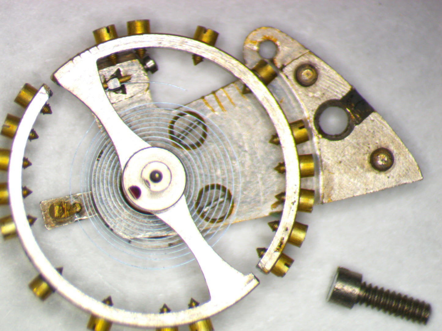 Longines 5LN 0721 Balance Complete w/screw