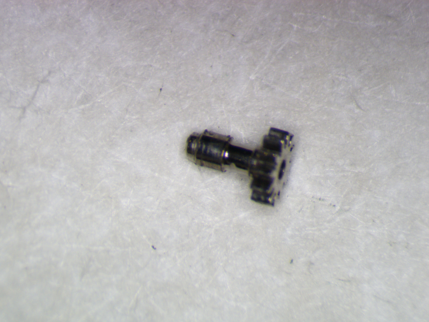 Longines 528 0245 Cannon pinion