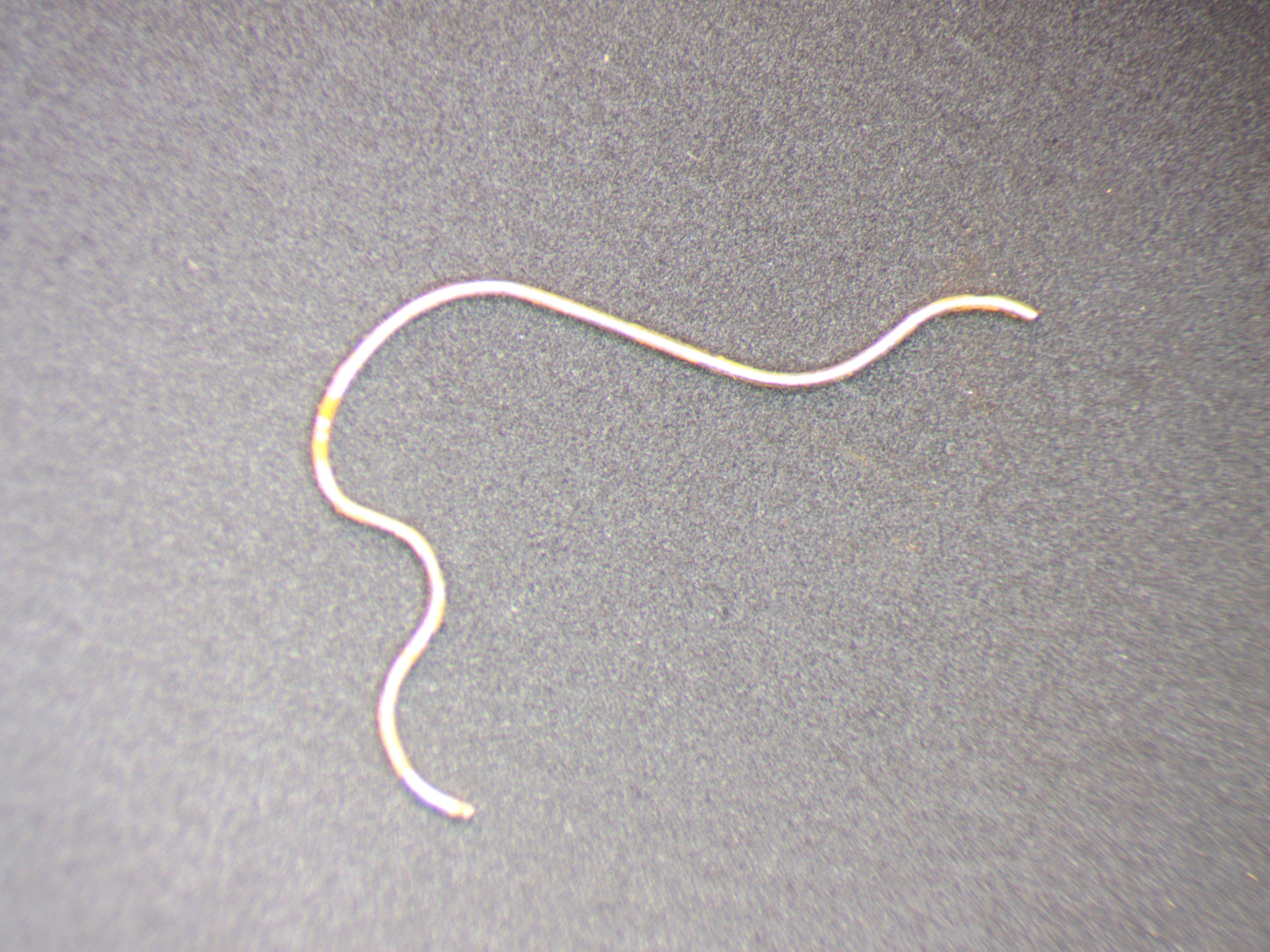 Rolex 3035 5091 Yoke spring for cam