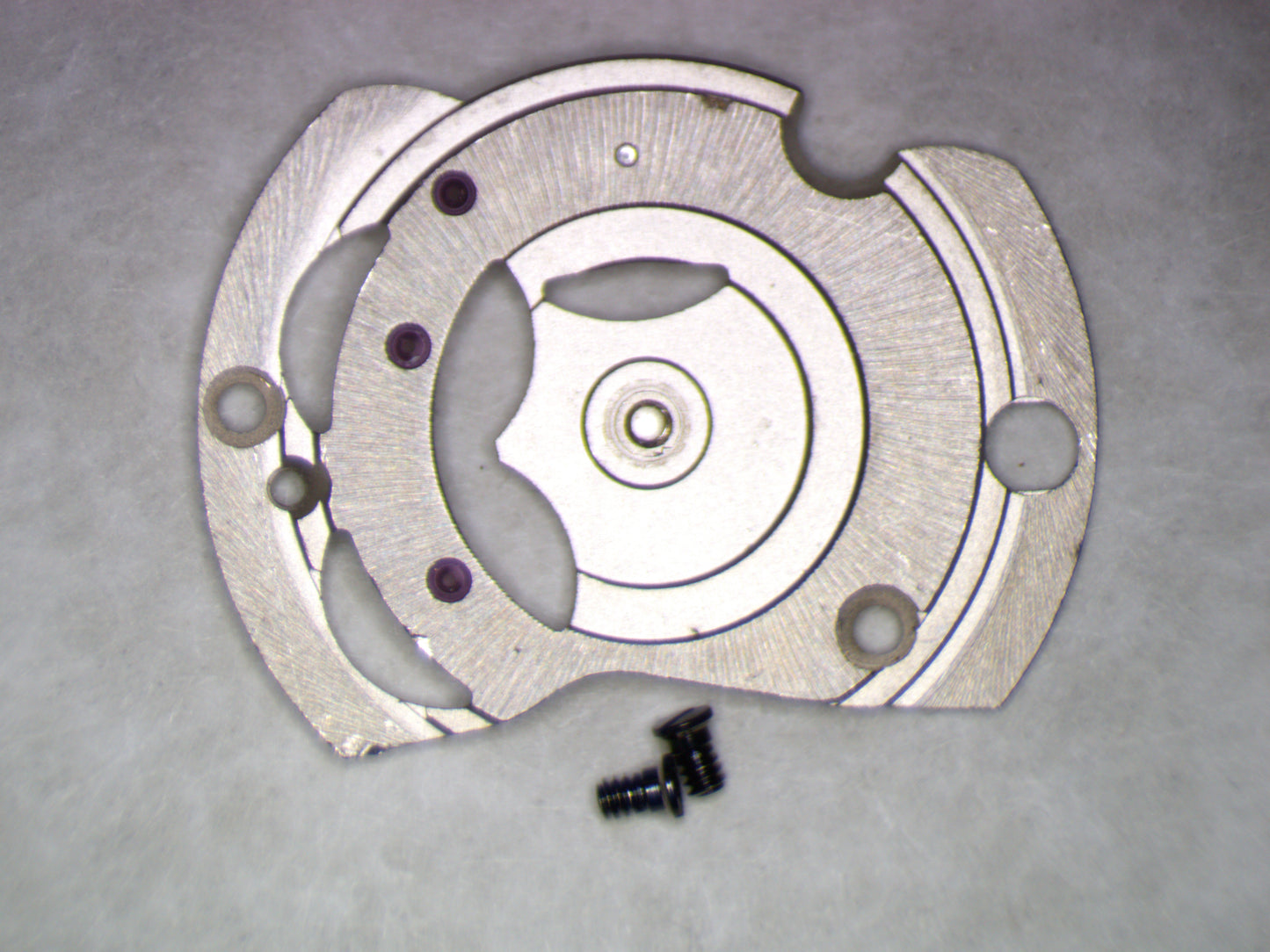 ETA 2824-2 1134 Automatic Device Framework w/screws