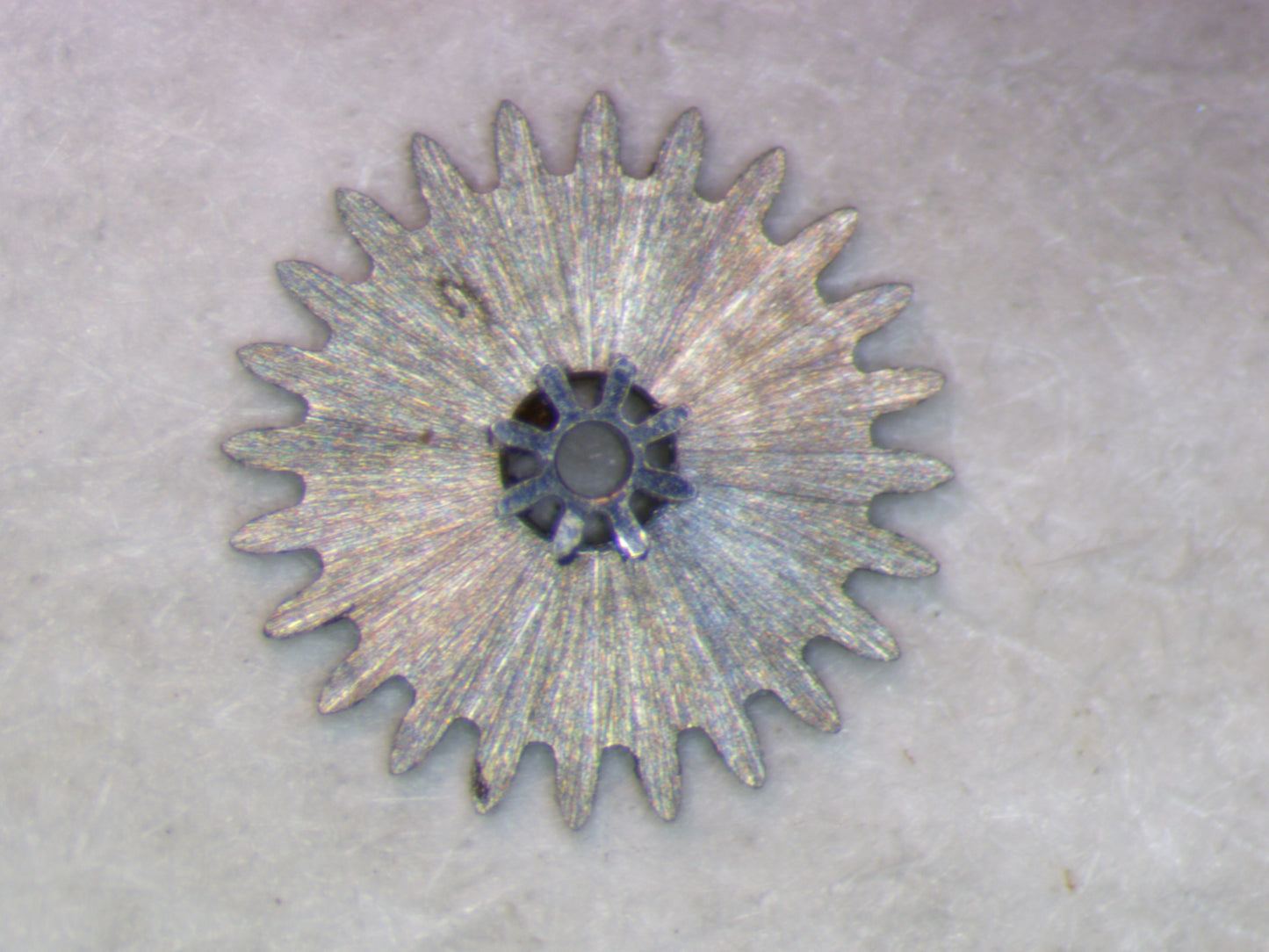 Longines 4LL 0260 Minute wheel