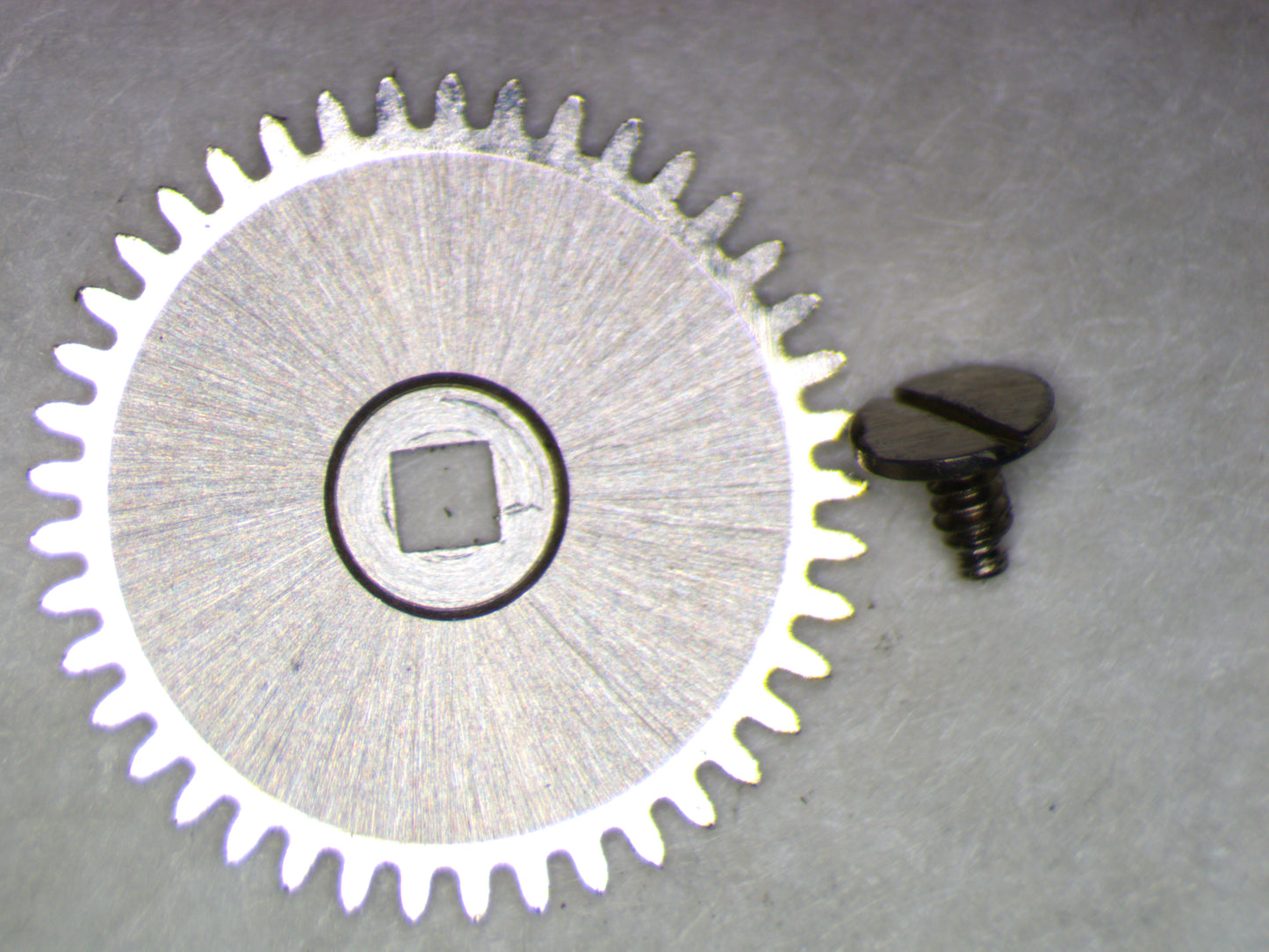 Longines 528 0415 Ratchet wheel w/screw