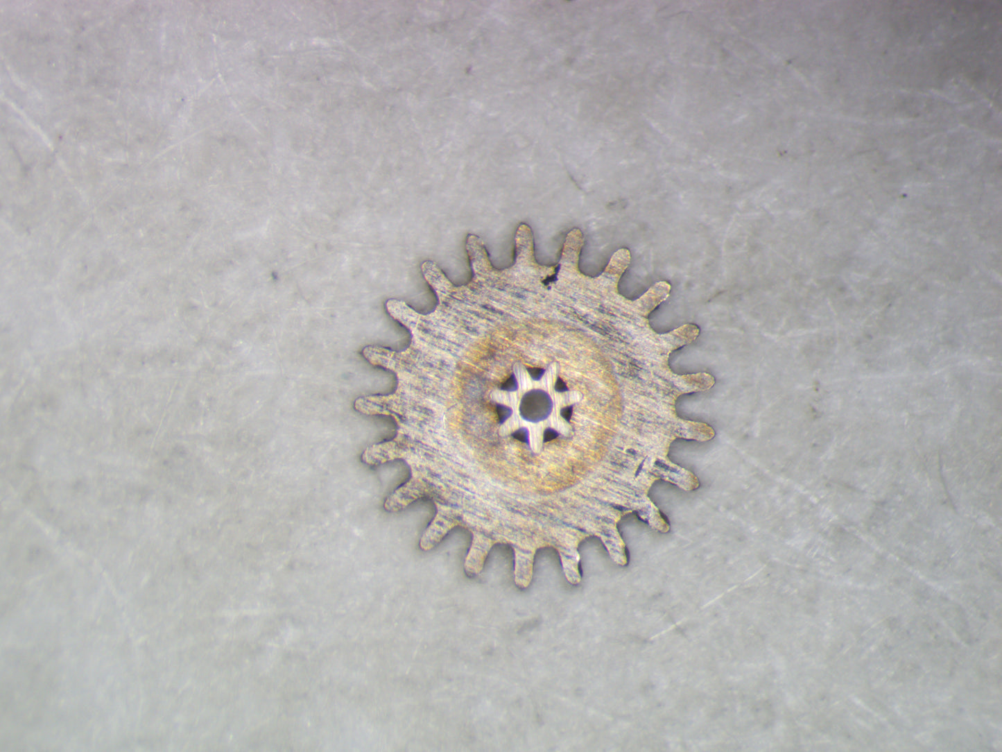 Hamilton 780 0260 Minute wheel