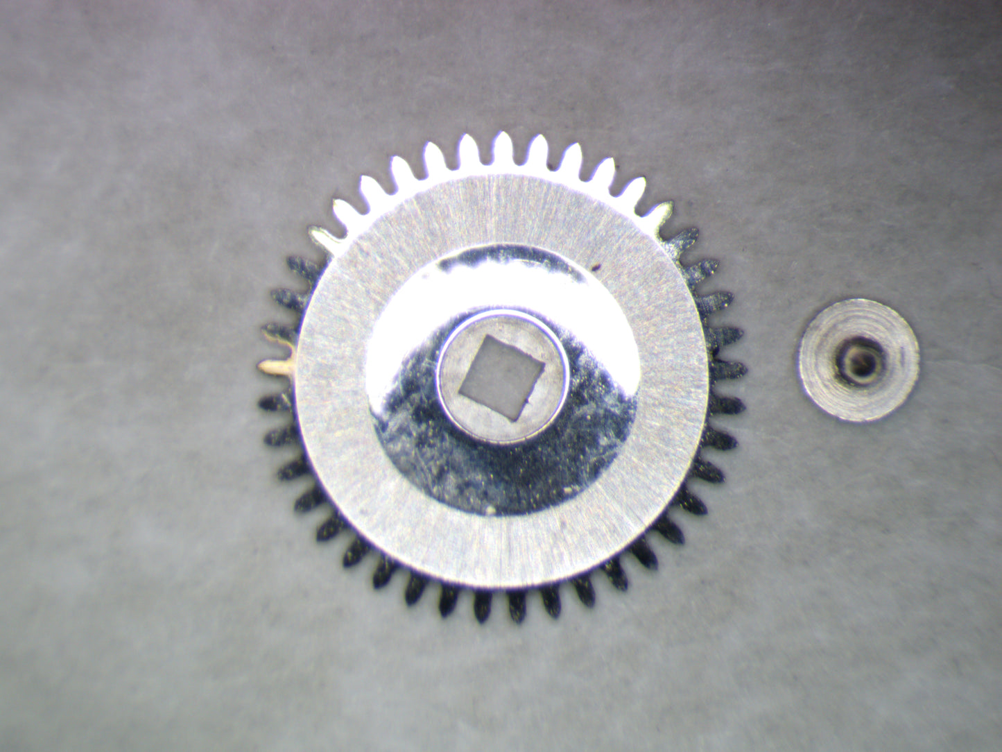 Longines 19.4 0415 Ratchet wheel w/screw