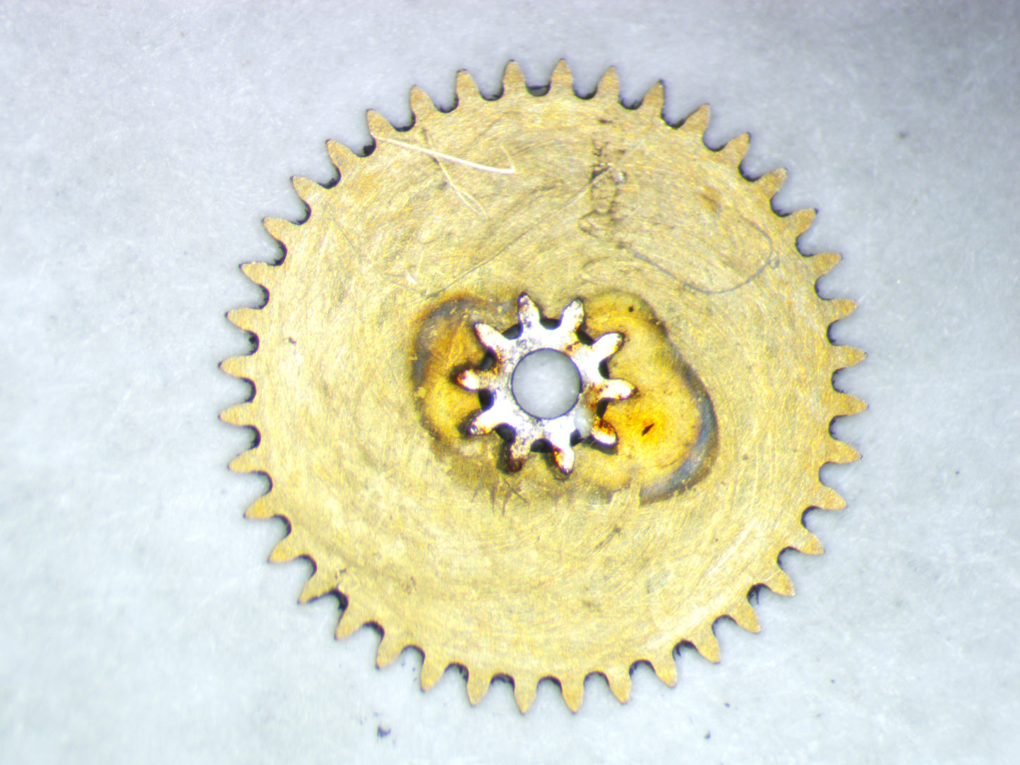 Wyler WM29 ETA1100 0260 Minute wheel