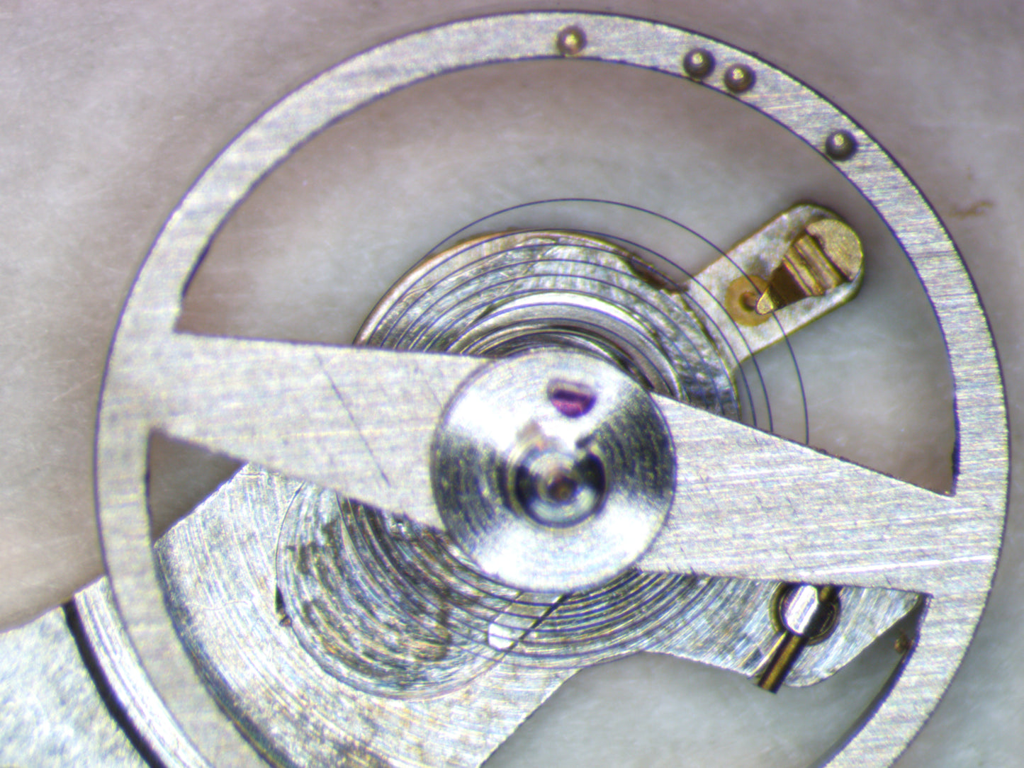 Wittnauer 7SDA1 0721 Balance Complete w/screw