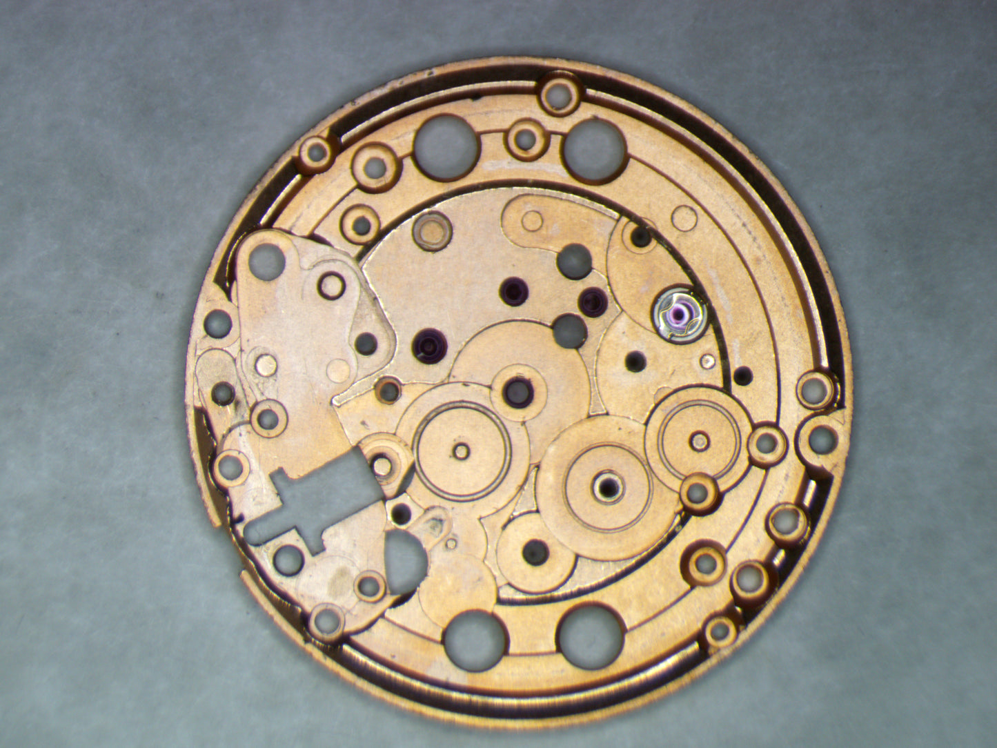 Omega 1481 1000 Main Plate
