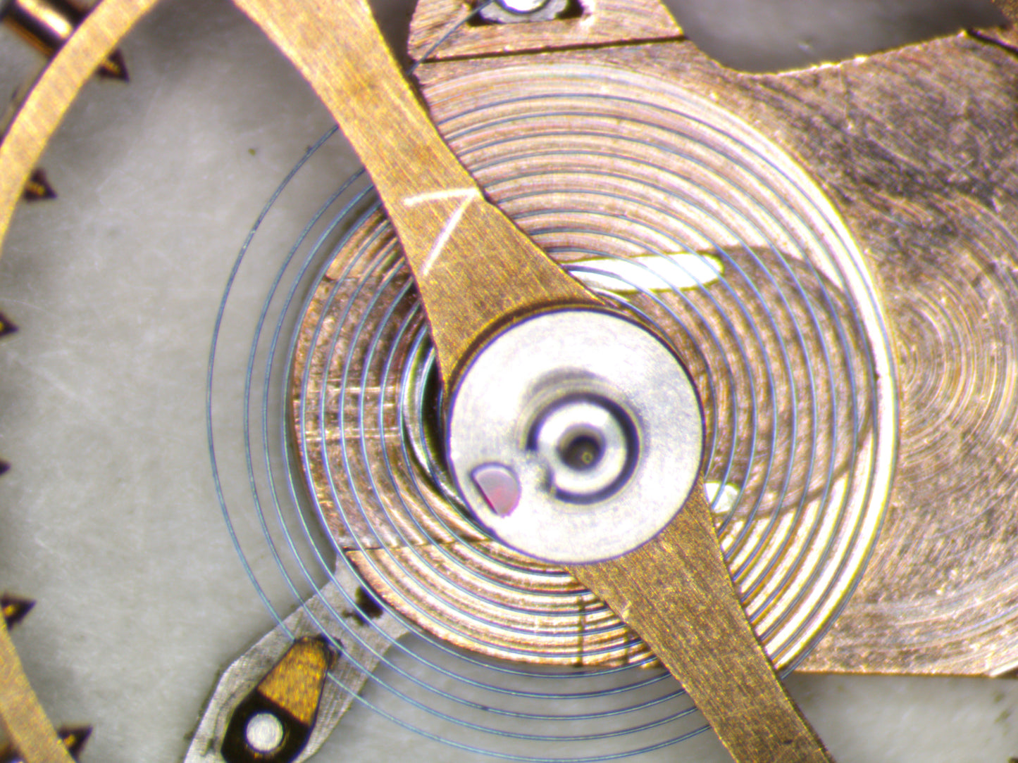 Omega 510 0721 Balance Complete w/screw